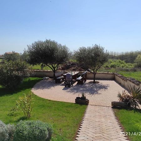 Villa Parenzo Poreč Extérieur photo